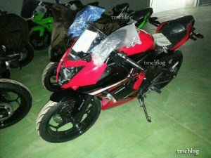 wpid-ninja250_1cyl_31.jpg