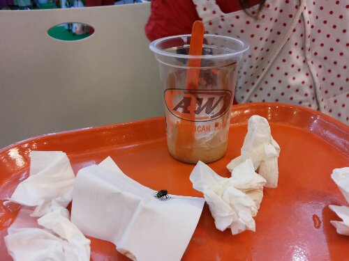 20131123_173651.jpg image