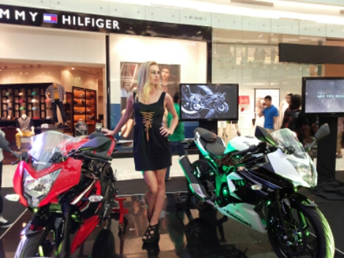 inden kawasaki ninja rr mono.jpg image